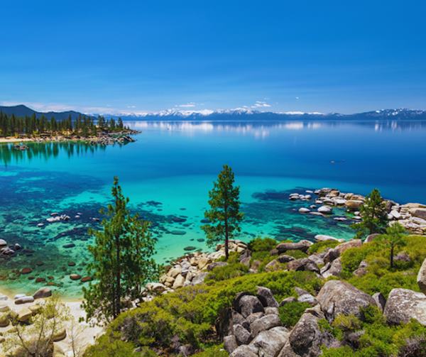 Lake Tahoe Fishing Guide: Types of Fish and Best Fishing Spot