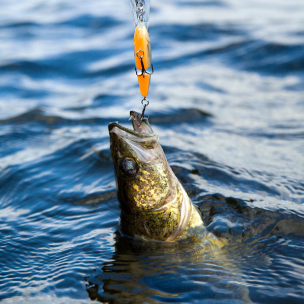 Lake Perris Fishing Tips & General Strategies