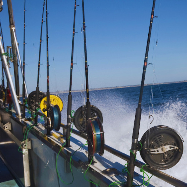 Big Bear Fishing Charters: Unleash the Angler in You
