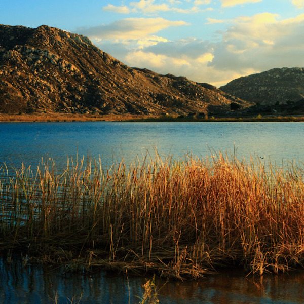 Lake Perris Fishing: Discover the Best Spots and Tips for Anglers at Lake Perris