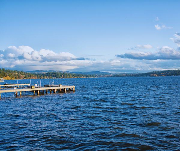 Lake Washington Fishing: Ultimate Guide to Fishing Experience
