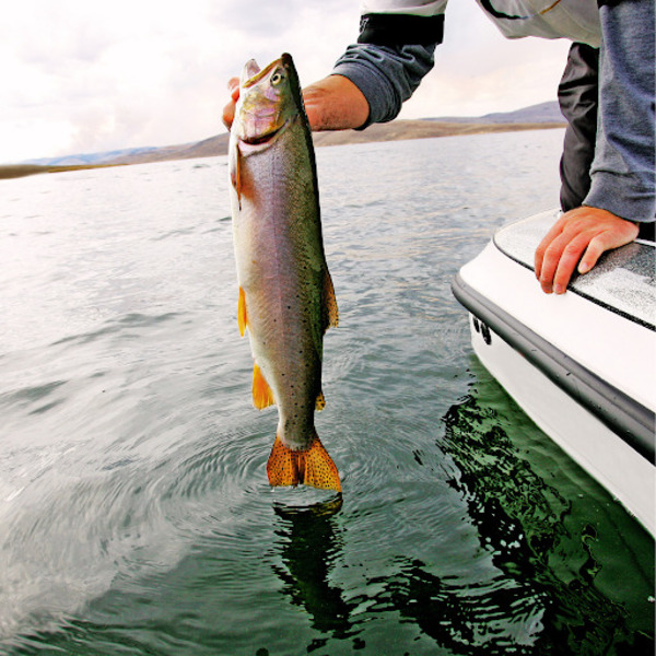 Fishing in Big Bear Lake CA