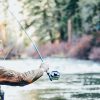 Your Bear Lake Fishing Guide | Top Spots & Tips for Bear Lake State Park in Utah