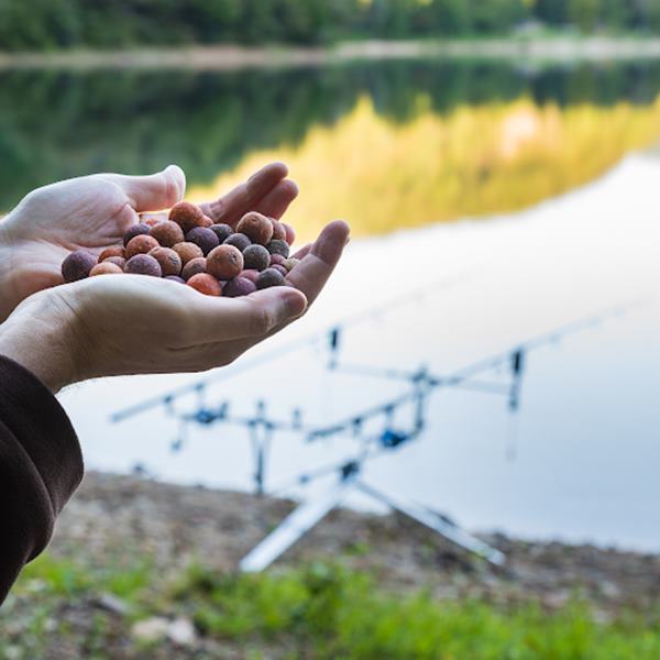 Understanding the Importance of Bait in Fishing