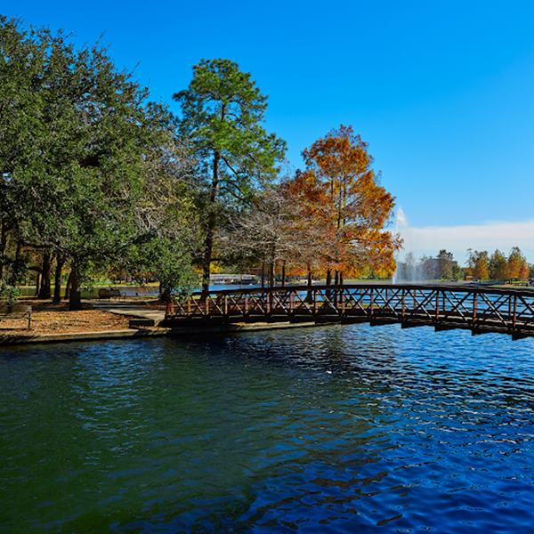 Lake Houston Wilderness Park: The Top Fishing Spots at Houston's Backyard Freshwater Lake