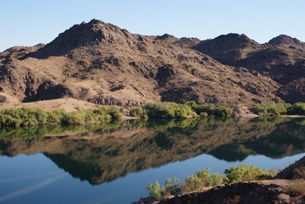 Lake Mohave Fishing Guide: Top Spots, Techniques and Baits for Catching Fish Near Cottonwood Cove and Nevada Waters