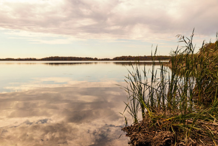 Rainy Lake Fishing Seasons