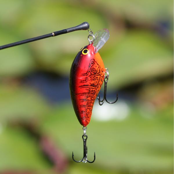 Artificial Lures for Freshwater Fishing