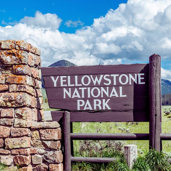Yellowstone National Park Fishing Licenses & Park Regulations