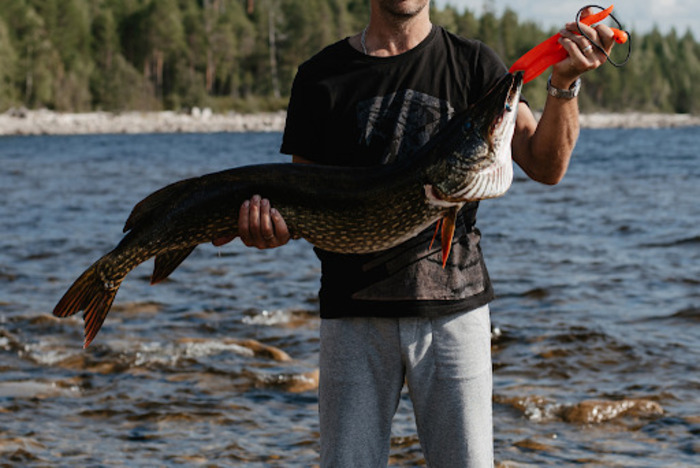 Northern Pike Fishing