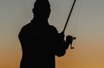 Lake Powell Fishing Guide: Best Fishing Spots, Licenses, Tips - Utah