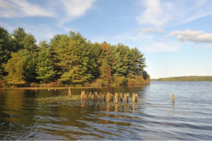 Lake Nockamixon Fishing: Angler Tips for Catching Bass, Walleye, Catfish & Over Types of Fish