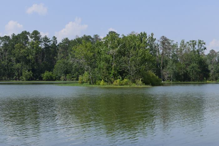 Best Fishing Spots on Smith Lake