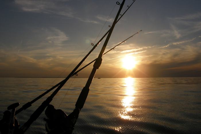 Top Fishing Charters on Lake Erie