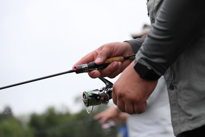 The Best Fishing Lines for Trout in 2024 | Fly-Fishing, Braid & More