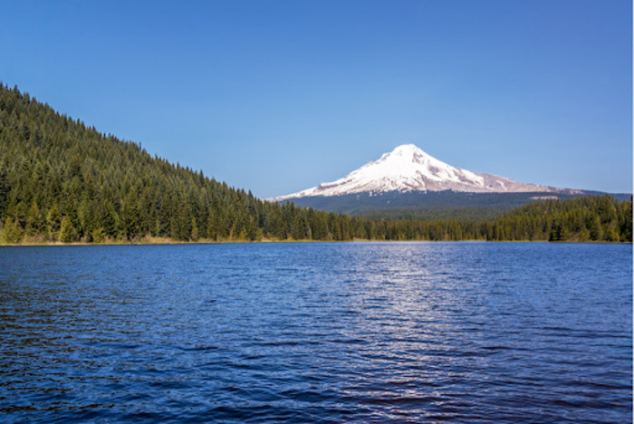 Trillium Fishing Lake Guide: Tips, Spots, Weather and More - Oregon