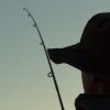 Experience Perfect Fly Fishing for Trout on the Little Red River in Arkansas