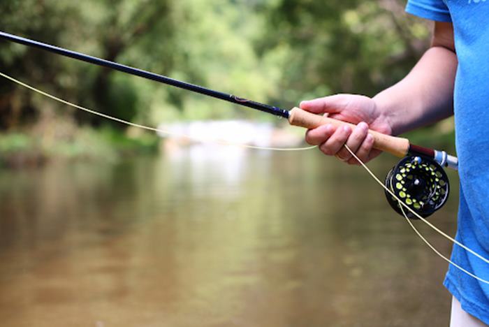 The Art of Fly Fishing on the Little Red River