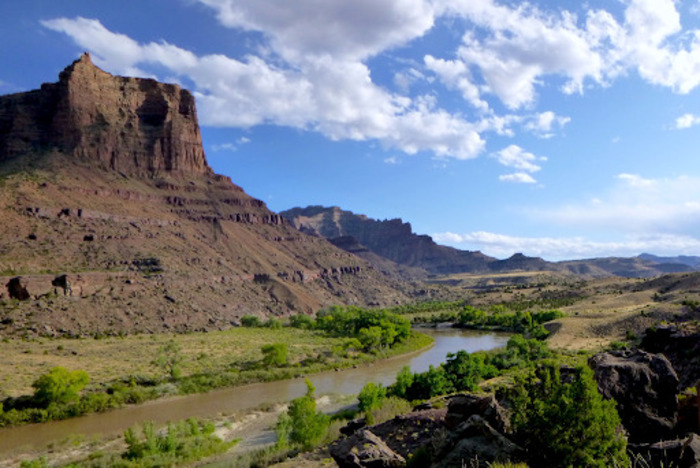 Ultimate Utah Fly Fishing Guide: Green River Fishing for Trout