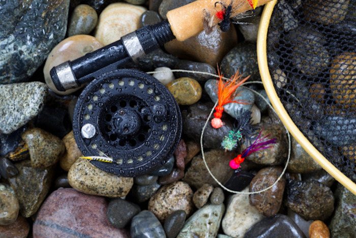 Essential Gear and Techniques for Trout Fishing