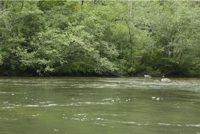 Understanding the Toccoa River