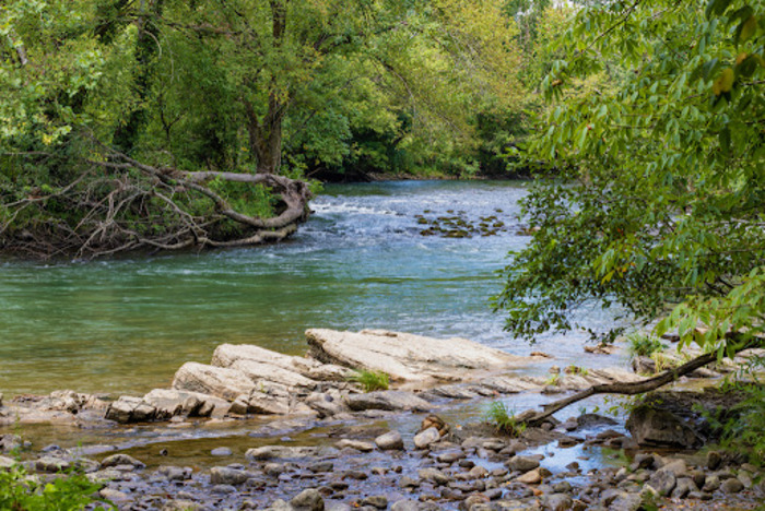 Guide To Fly Fishing for Trout on the Watauga River in TN