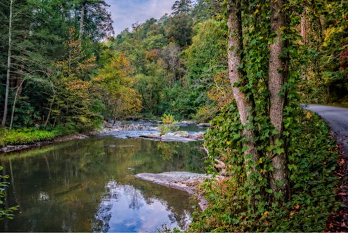 Best Trout Fly Fishing Streams on the Tellico River in Tennessee