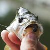Mastering Jigging: Tips and Techniques for Effective Jig Fishing