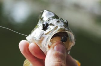 Mastering Jigging: Tips and Techniques for Effective Jig Fishing