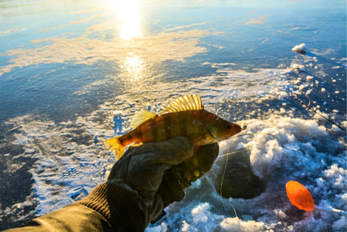 Get Started with the Best Ice Fishing Tips and Techniques for Beginners