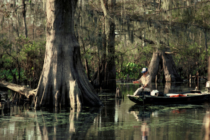 Methods for Angling Freshwater Fish in Louisiana